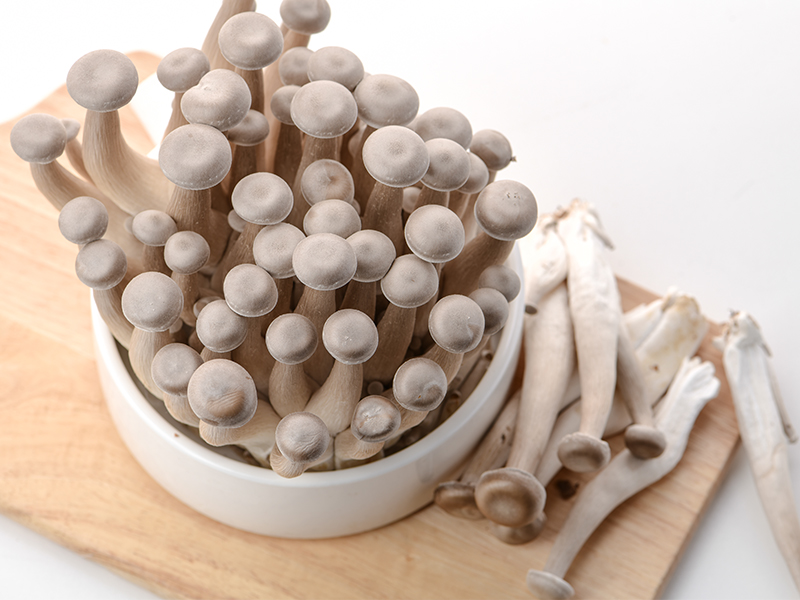 恩施驱蚊虫艾条-恩施艾灸条-恩施艾灸柱-恩施艾绒条